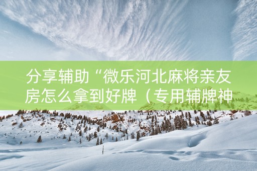 分享辅助“微乐河北麻将亲友房怎么拿到好牌（专用辅牌神器免安装）