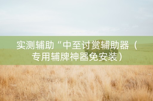 实测辅助“中至讨赏辅助器（专用辅牌神器免安装）