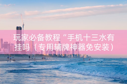 玩家必备教程“手机十三水有挂吗（专用辅牌神器免安装）
