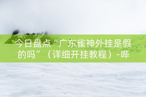 今日盘点“广东雀神外挂是假的吗”（详细开挂教程）-哔哩哔哩