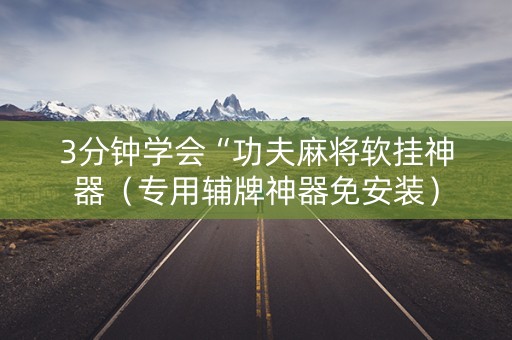 3分钟学会“功夫麻将软挂神器（专用辅牌神器免安装）