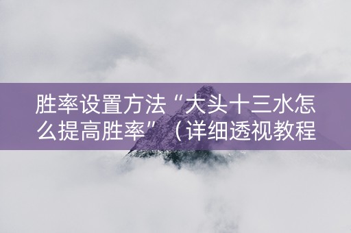 胜率设置方法“大头十三水怎么提高胜率”（详细透视教程）-哔哩哔哩