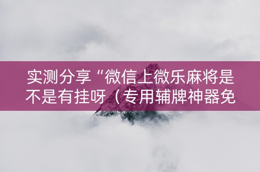 实测分享“微信上微乐麻将是不是有挂呀（专用辅牌神器免安装）