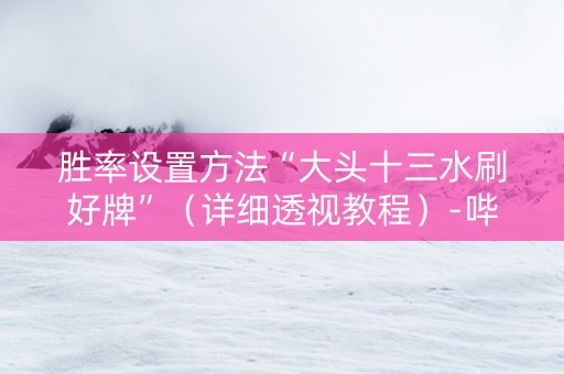 胜率设置方法“大头十三水刷好牌”（详细透视教程）-哔哩哔哩