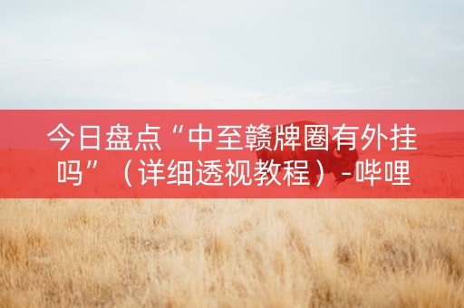 今日盘点“中至赣牌圈有外挂吗”（详细透视教程）-哔哩哔哩