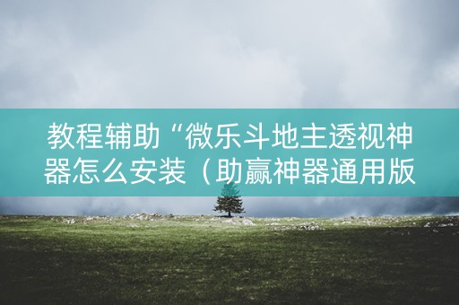 教程辅助“微乐斗地主透视神器怎么安装（助赢神器通用版）