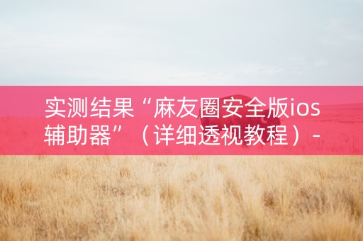 实测结果“麻友圈安全版ios辅助器”（详细透视教程）-哔哩哔哩
