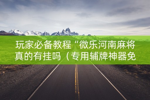 玩家必备教程“微乐河南麻将真的有挂吗（专用辅牌神器免安装）
