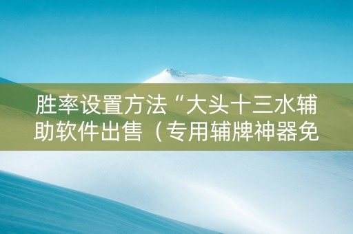 胜率设置方法“大头十三水辅助软件出售（专用辅牌神器免安装）