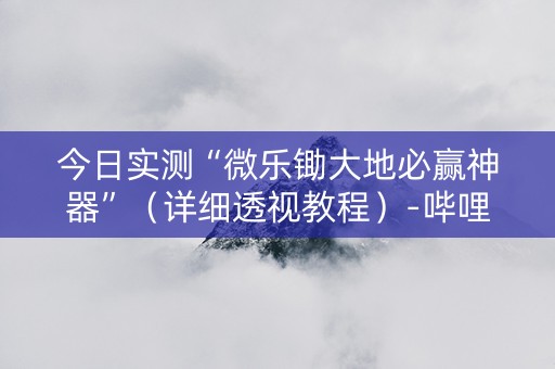 今日实测“微乐锄大地必赢神器”（详细透视教程）-哔哩哔哩