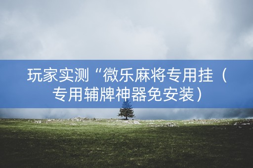 玩家实测“微乐麻将专用挂（专用辅牌神器免安装）