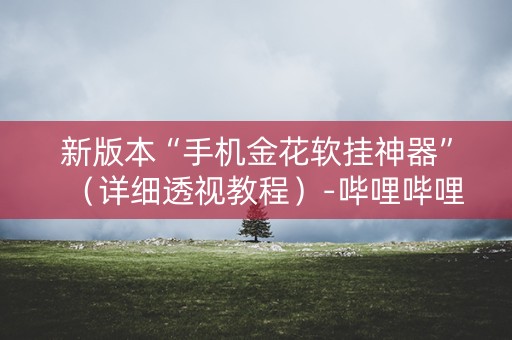 新版本“手机金花软挂神器”（详细透视教程）-哔哩哔哩
