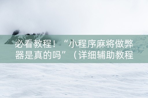 必看教程！“小程序麻将做弊器是真的吗”（详细辅助教程）-哔哩哔哩