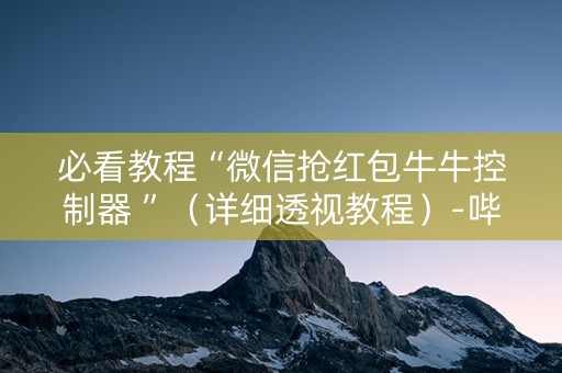 必看教程“微信抢红包牛牛控制器 ”（详细透视教程）-哔哩哔哩