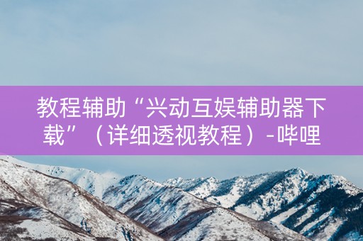 教程辅助“兴动互娱辅助器下载”（详细透视教程）-哔哩哔哩