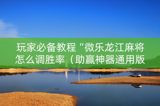 玩家必备教程“微乐龙江麻将怎么调胜率（助赢神器通用版）
