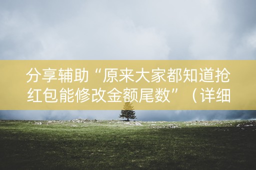 分享辅助“原来大家都知道抢红包能修改金额尾数”（详细透视教程）-哔哩哔哩