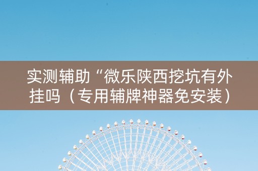 实测辅助“微乐陕西挖坑有外挂吗（专用辅牌神器免安装）