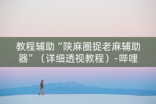 教程辅助“陕麻圈捉老麻辅助器”（详细透视教程）-哔哩哔哩