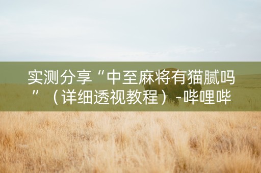实测分享“中至麻将有猫腻吗”（详细透视教程）-哔哩哔哩
