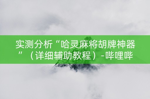 实测分析“哈灵麻将胡牌神器”（详细辅助教程）-哔哩哔哩