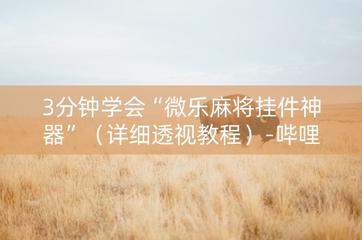 3分钟学会“微乐麻将挂件神器”（详细透视教程）-哔哩哔哩