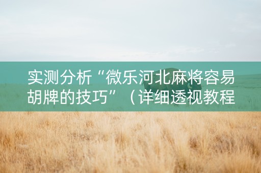 实测分析“微乐河北麻将容易胡牌的技巧”（详细透视教程）-哔哩哔哩