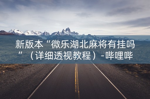 新版本“微乐湖北麻将有挂吗”（详细透视教程）-哔哩哔哩