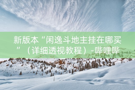 新版本“闲逸斗地主挂在哪买”（详细透视教程）-哔哩哔哩