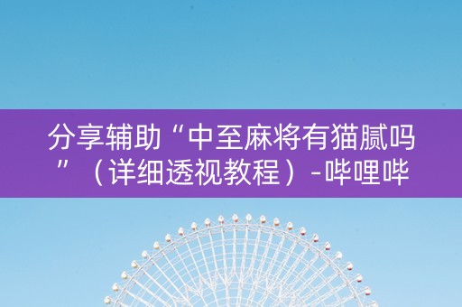 分享辅助“中至麻将有猫腻吗”（详细透视教程）-哔哩哔哩