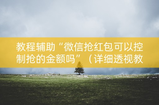 教程辅助“微信抢红包可以控制抢的金额吗”（详细透视教程）-哔哩哔哩