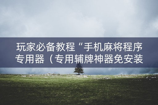 玩家必备教程“手机麻将程序专用器（专用辅牌神器免安装）