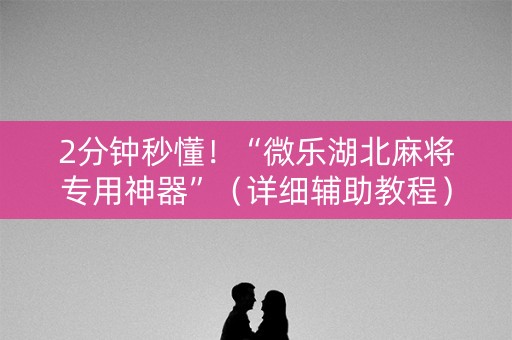 2分钟秒懂！“微乐湖北麻将专用神器”（详细辅助教程）-哔哩哔哩