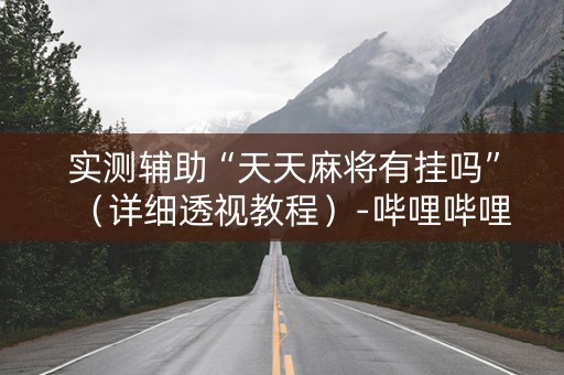 实测辅助“天天麻将有挂吗”（详细透视教程）-哔哩哔哩