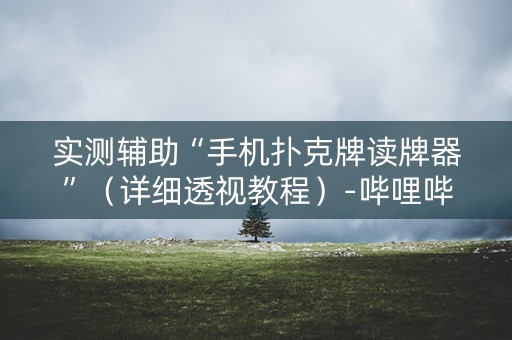 实测辅助“手机扑克牌读牌器”（详细透视教程）-哔哩哔哩