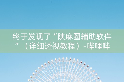 终于发现了“陕麻圈辅助软件”（详细透视教程）-哔哩哔哩