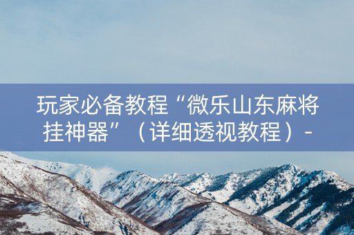 玩家必备教程“微乐山东麻将挂神器”（详细透视教程）-哔哩哔哩