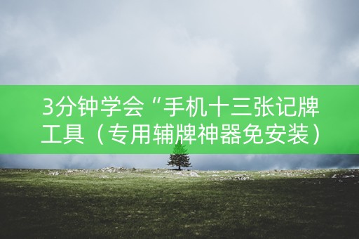 3分钟学会“手机十三张记牌工具（专用辅牌神器免安装）