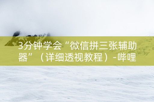 3分钟学会“微信拼三张辅助器”（详细透视教程）-哔哩哔哩