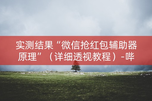 实测结果“微信抢红包辅助器原理”（详细透视教程）-哔哩哔哩