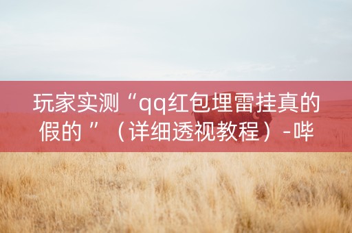 玩家实测“qq红包埋雷挂真的假的 ”（详细透视教程）-哔哩哔哩