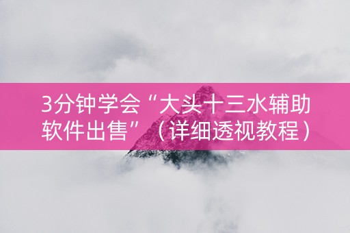 3分钟学会“大头十三水辅助软件出售”（详细透视教程）-哔哩哔哩