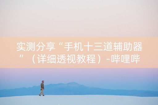 实测分享“手机十三道辅助器”（详细透视教程）-哔哩哔哩