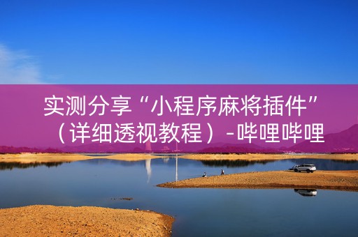 实测分享“小程序麻将插件”（详细透视教程）-哔哩哔哩
