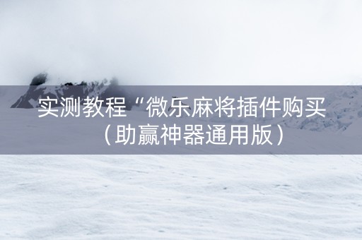 实测教程“微乐麻将插件购买（助赢神器通用版）