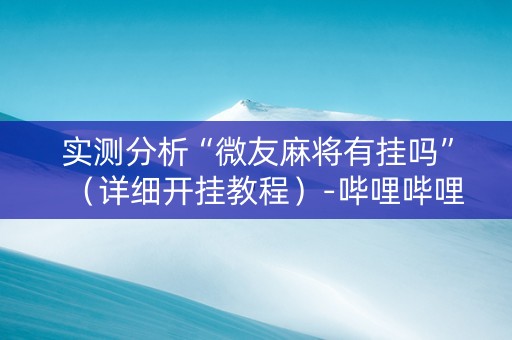 实测分析“微友麻将有挂吗”（详细开挂教程）-哔哩哔哩