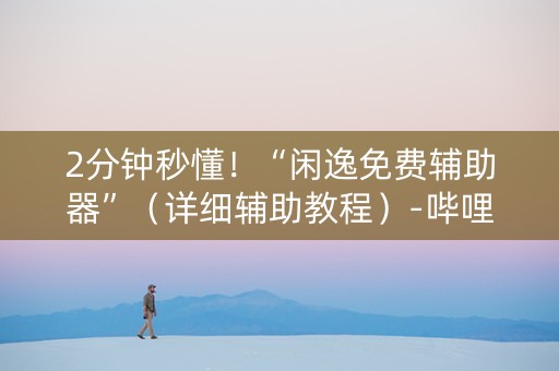 2分钟秒懂！“闲逸免费辅助器”（详细辅助教程）-哔哩哔哩