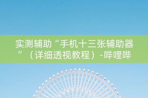 实测辅助“手机十三张辅助器”（详细透视教程）-哔哩哔哩