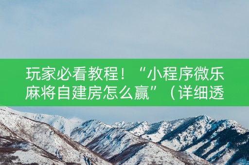 玩家必看教程！“小程序微乐麻将自建房怎么赢”（详细透视教程）-哔哩哔哩
