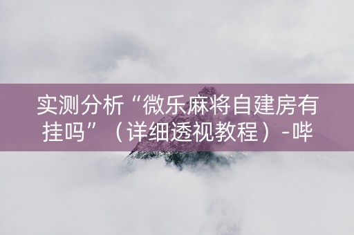 实测分析“微乐麻将自建房有挂吗”（详细透视教程）-哔哩哔哩